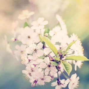 盼望着你能回来