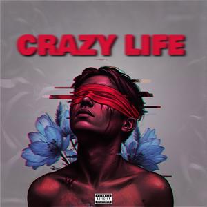 Crazy Life (feat. yvng t5ivee) [Explicit]