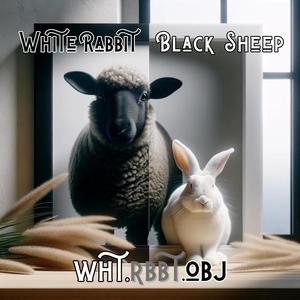 White Rabbit Black Sheep