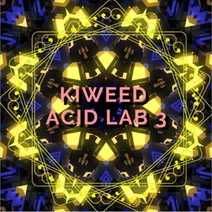 Acid Lab 3