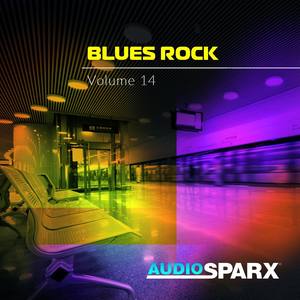 Blues Rock Volume 14