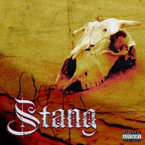 Stang (feat. DJvsiren) [Explicit]