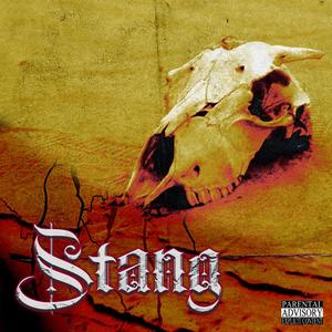 Stang (feat. DJvsiren) (Explicit)