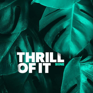 Thrill Of It (Chez Remix)