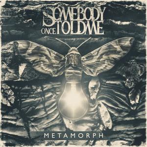 Metamorph(feat. Noah Müller) (Explicit)