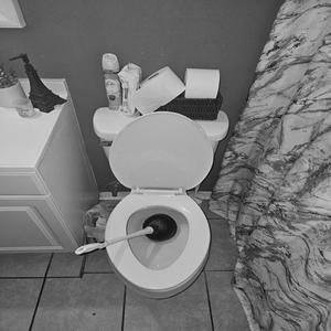 Call Up The Plumber (Explicit)