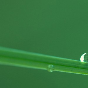 你相信一见钟情吗