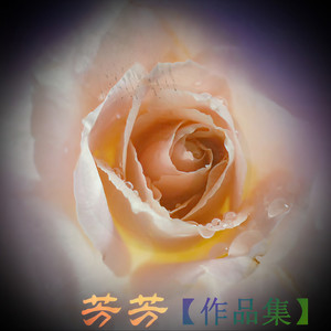 热情洒脱