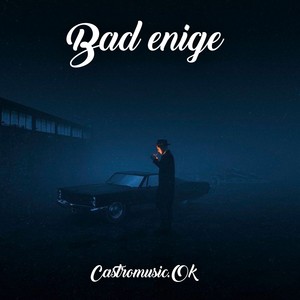 Bad enige