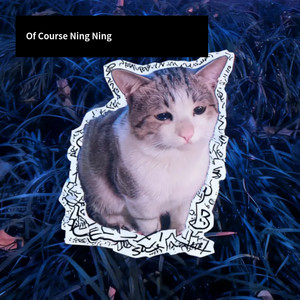 音乐能量站 - Of Course NING NING