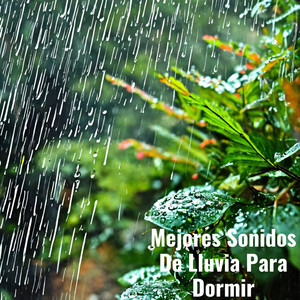 Truenos Ligeros Con Lluvia: Relajate