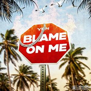 Blame on Me (Explicit)