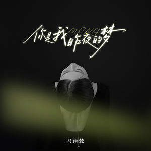 你是我昨夜的梦