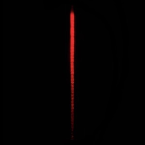 SENSES FADING (Explicit)