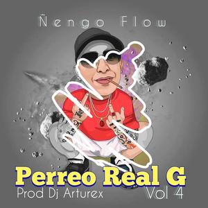 DJ ARTUREX PERREO REAL G VOL 4 (Explicit)