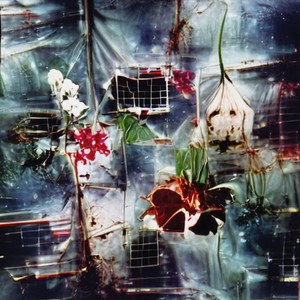 Greenhouse