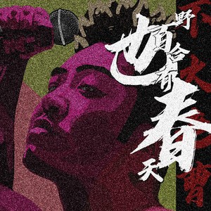 曹锐 - 野百合也有春天