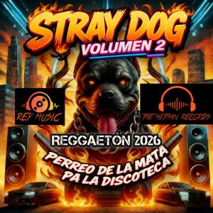 STRAY DOGS 2