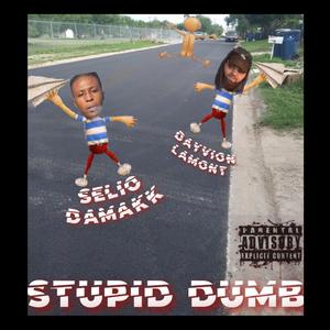 Stupid Dumb (Explicit)