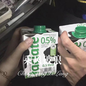 乘风破浪 (DJ版)