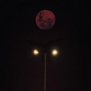 Iný život (feat. Keviix) (Explicit)