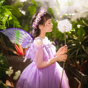 梨花又开放