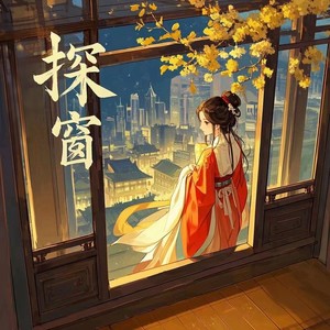 探窗 (DJ降调remix版)封面