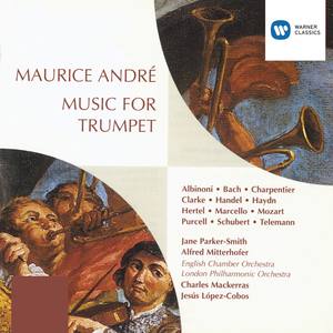 Concerto for 2 Oboes, Trumpet and Strings in D Major: IV. Grave