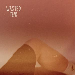 Wasted Year