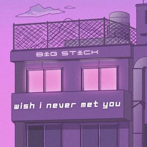 Wish I Never Met You (Explicit)