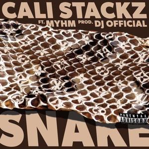 SNAKE (feat. MYHM) [Explicit]