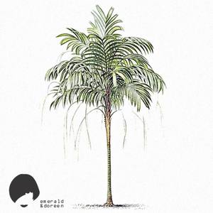 The Palm Tree