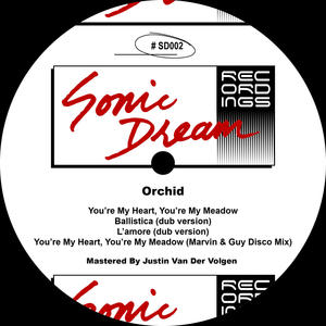 You're My Heart, You're My Meadow (feat. Marvin & Guy) (Disco Mix)