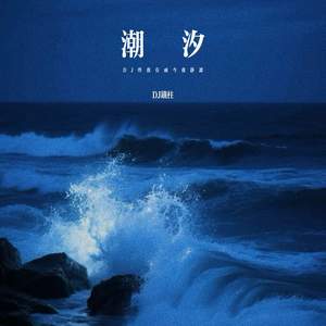 潮汐 (DJ铁柱版)