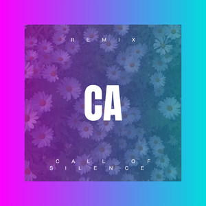 Call of Silence (Remix)