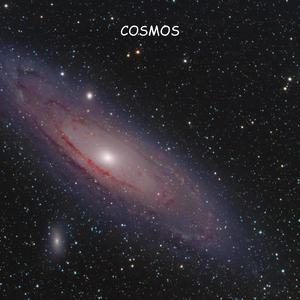 Cosmos