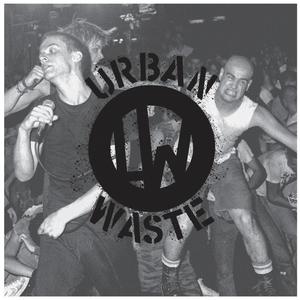 Public Opinion (Explicit)