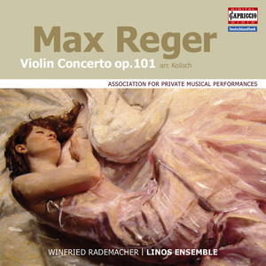 Violin Concerto in A Major, Op. 101 (arr. R. Kolisch for violin and chamber ensemble) - III. Allegro moderato (ma con spirito)