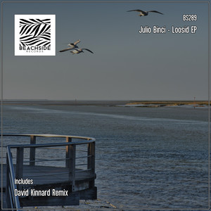 Loosid (David Kinnard Remix)