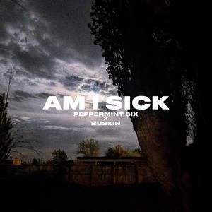 Am I Sick (Explicit)