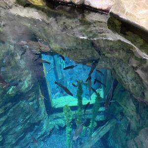 NUN CHANGE (Explicit)