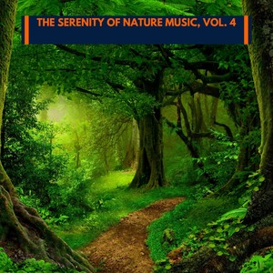 Winds And Bonfire Track