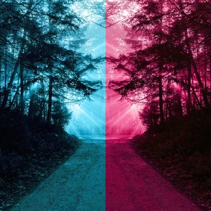 Emdr Tock 60 Bpm Calm the Nervous System