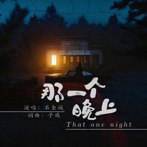 石金城 - 那一个晚上 (DJ阿卓版)
