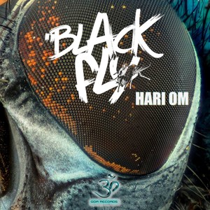 Hari Om (Original Mix)