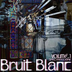 BRUIT BLANC Vol.1 : Spectroscopie