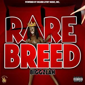 RARE BREED (Explicit)