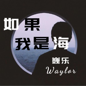 如果我是海封面