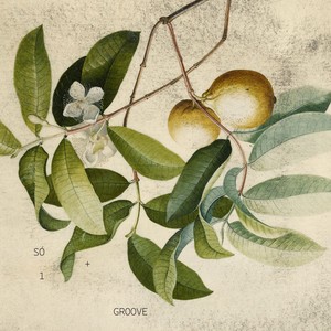 Só + 1 Groove (Para Todos Que Emanei)