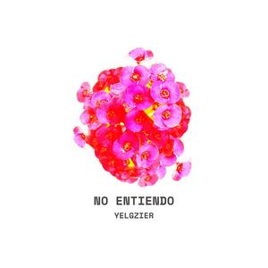 Yelgzier - No Entiendo